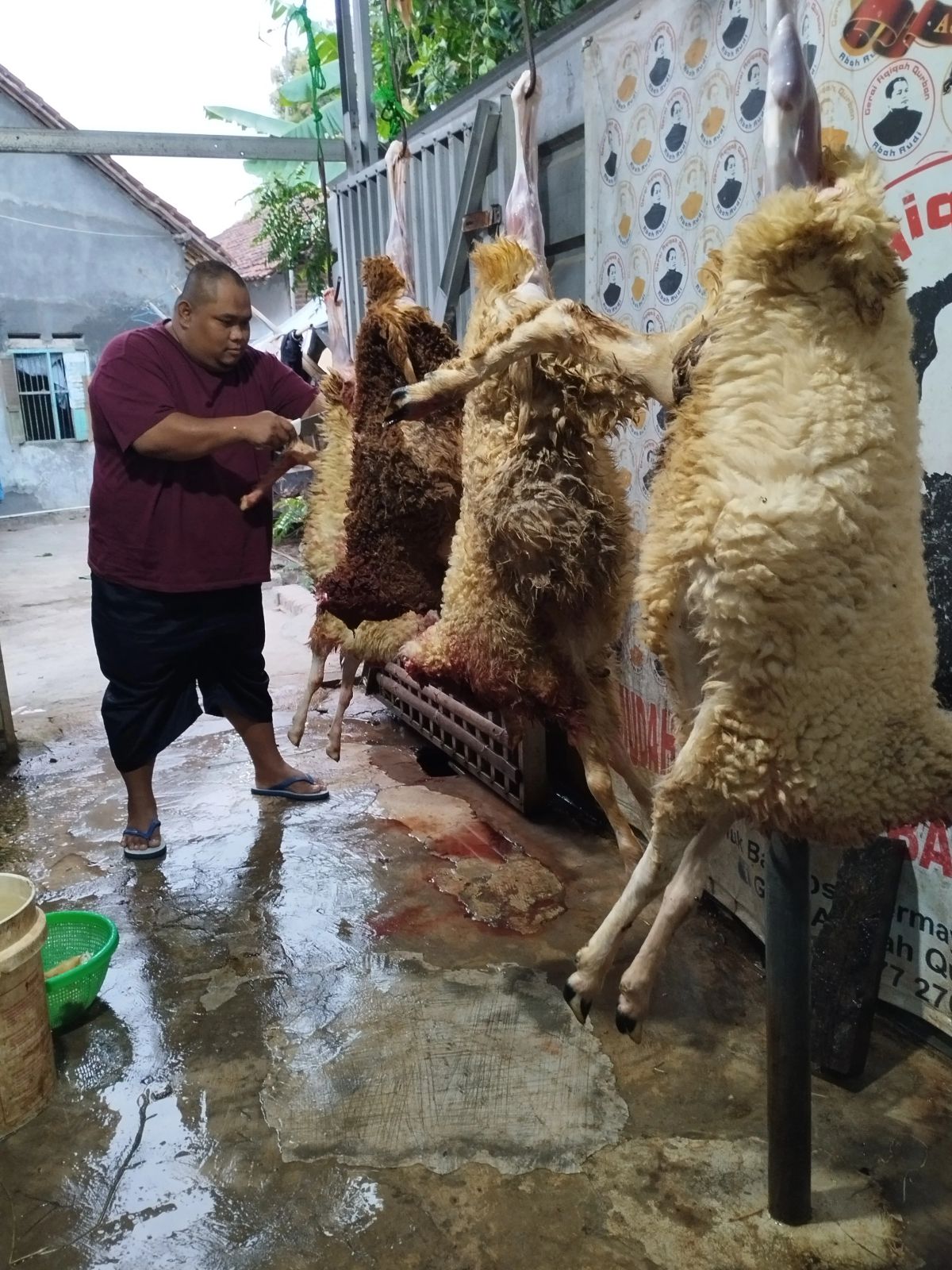 Pemotongan kambing aqiqah